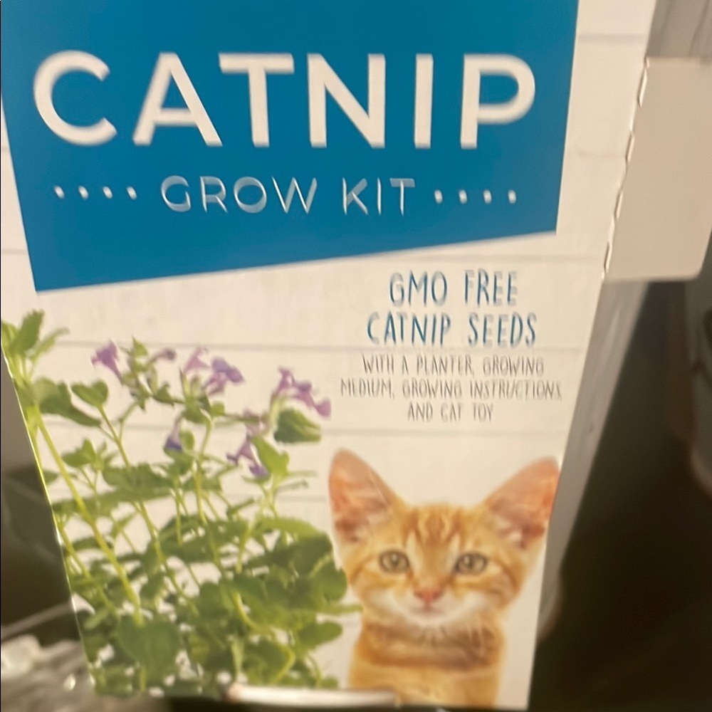 Catnip Grow Kit with Gray and Pink Toy - Picture 4 of 4
